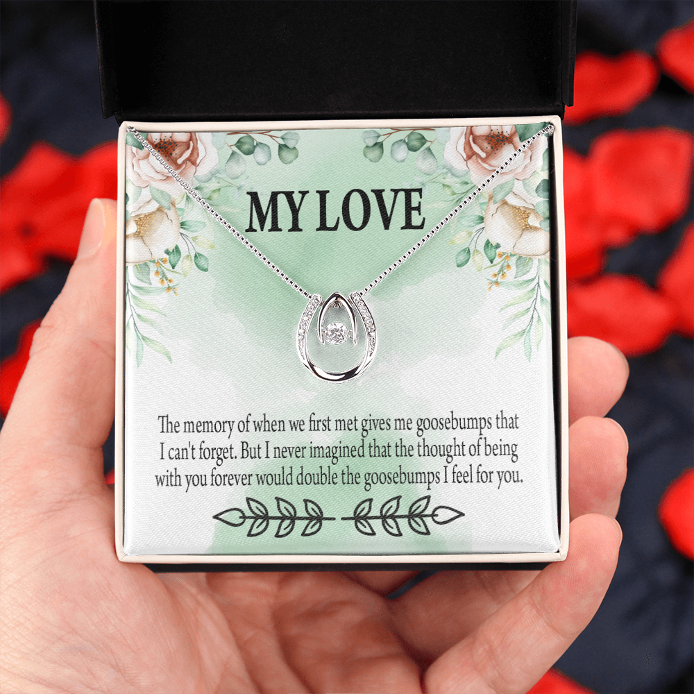To My Girlfriend Goosebumps Forever Lucky Horseshoe Necklace Message Card 14k w CZ Crystals-Express Your Love Gifts