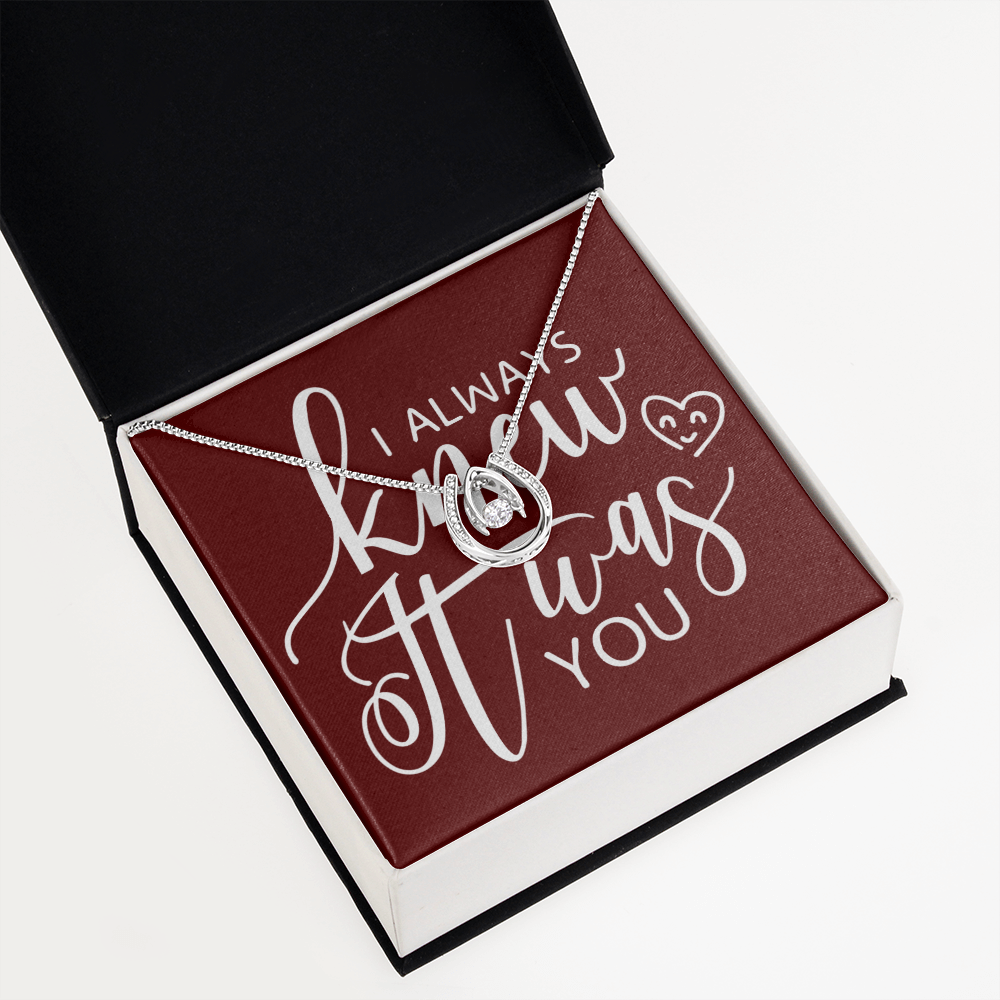 To My Girlfriend I Always Knew It Was You Lucky Horseshoe Necklace Message Card 14k w CZ Crystals-Express Your Love Gifts