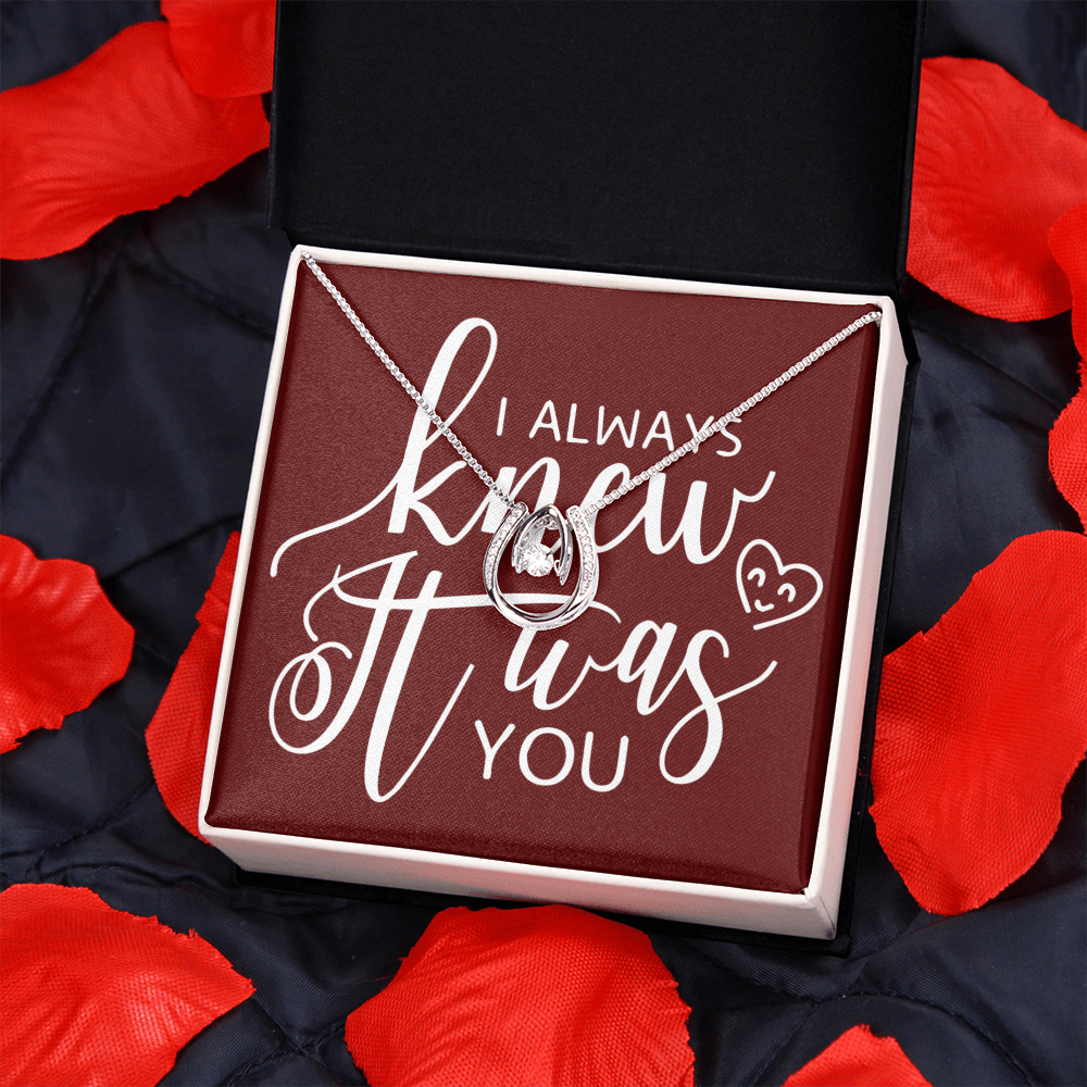 To My Girlfriend I Always Knew It Was You Lucky Horseshoe Necklace Message Card 14k w CZ Crystals-Express Your Love Gifts