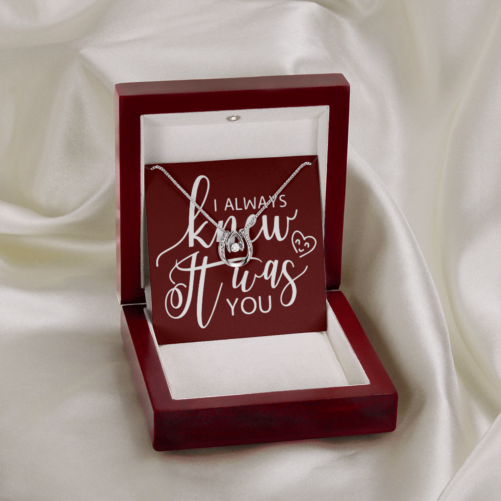 To My Girlfriend I Always Knew It Was You Lucky Horseshoe Necklace Message Card 14k w CZ Crystals-Express Your Love Gifts