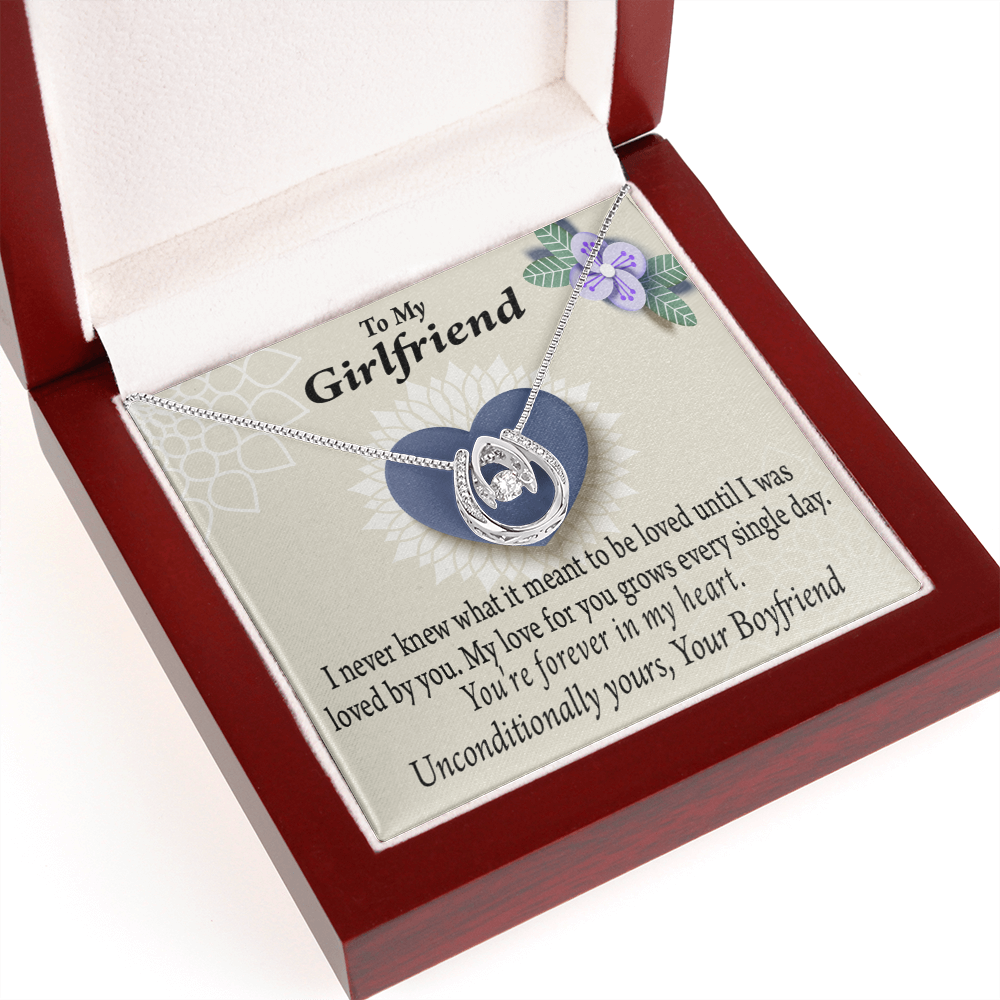 To My Girlfriend I Love You More Every Day Lucky Horseshoe Necklace Message Card 14k w CZ Crystals-Express Your Love Gifts