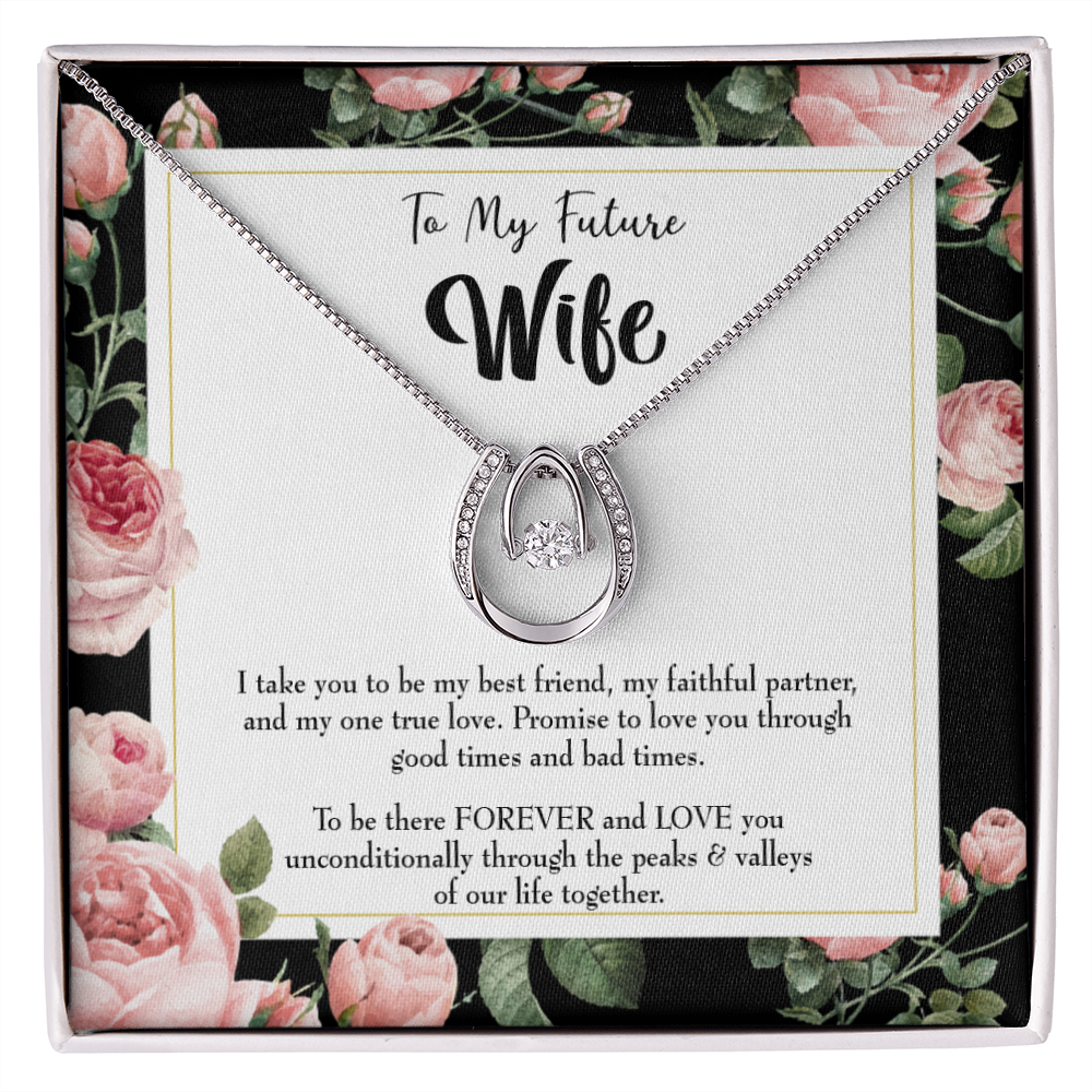 To My Girlfriend I take You Lucky Horseshoe Necklace Message Card 14k w CZ Crystals-Express Your Love Gifts
