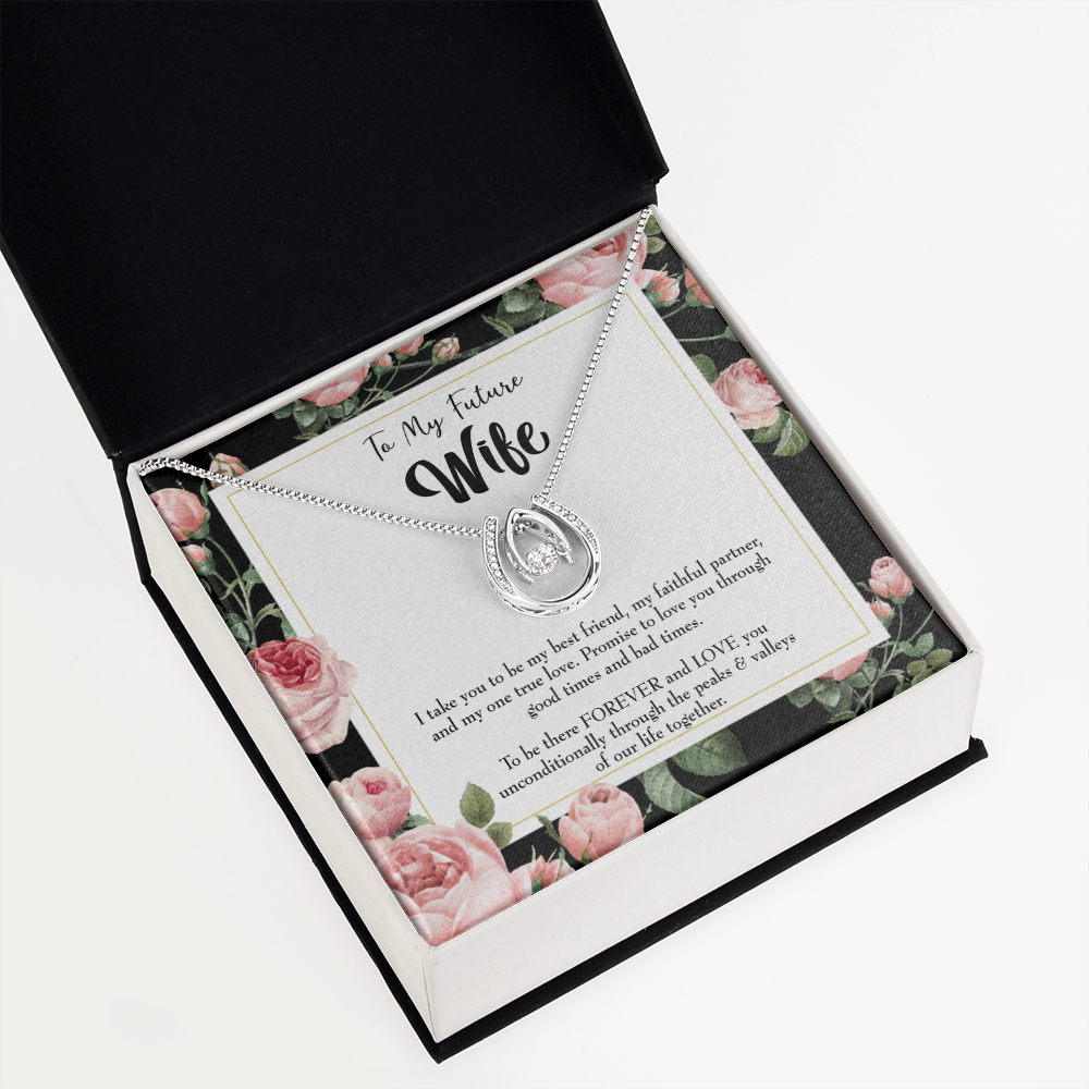 To My Girlfriend I take You Lucky Horseshoe Necklace Message Card 14k w CZ Crystals-Express Your Love Gifts