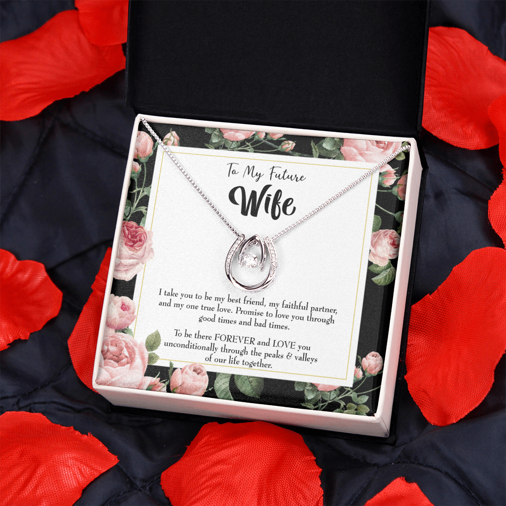 To My Girlfriend I take You Lucky Horseshoe Necklace Message Card 14k w CZ Crystals-Express Your Love Gifts