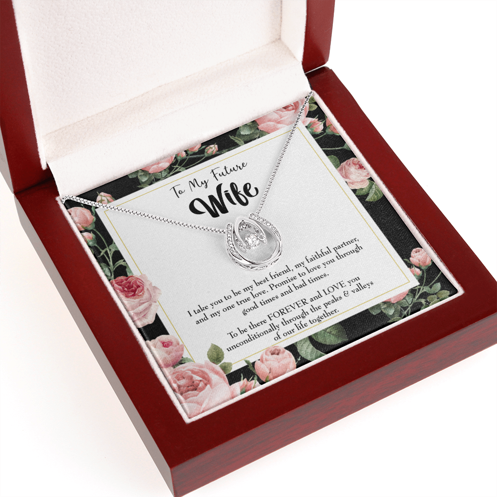 To My Girlfriend I take You Lucky Horseshoe Necklace Message Card 14k w CZ Crystals-Express Your Love Gifts