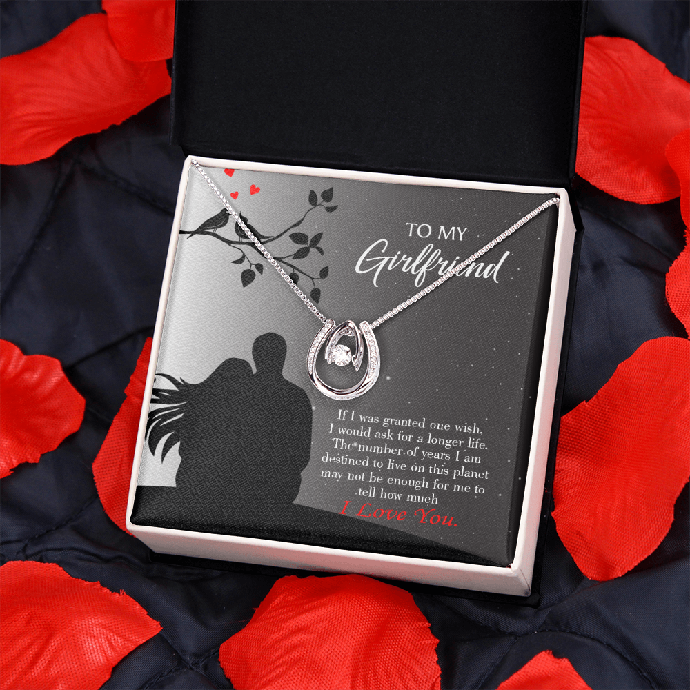 To My Girlfriend Longer Life Lucky Horseshoe Necklace Message Card 14k w CZ Crystals-Express Your Love Gifts