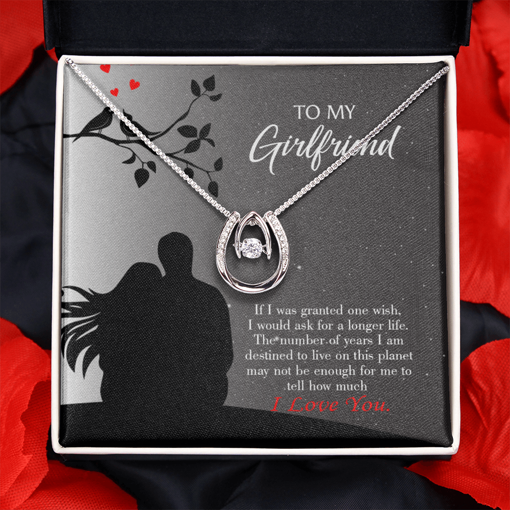 To My Girlfriend Longer Life Lucky Horseshoe Necklace Message Card 14k w CZ Crystals-Express Your Love Gifts