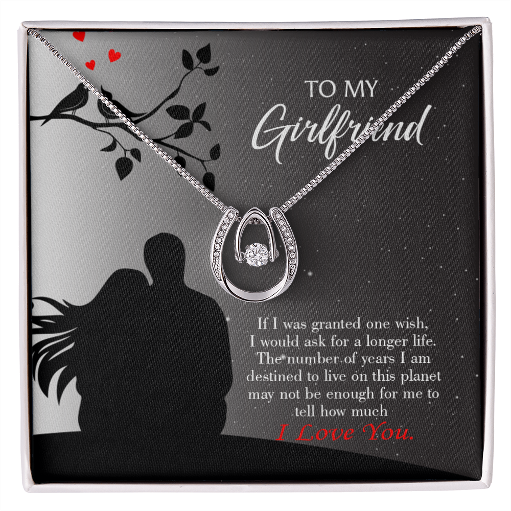 To My Girlfriend Longer Life Lucky Horseshoe Necklace Message Card 14k w CZ Crystals-Express Your Love Gifts