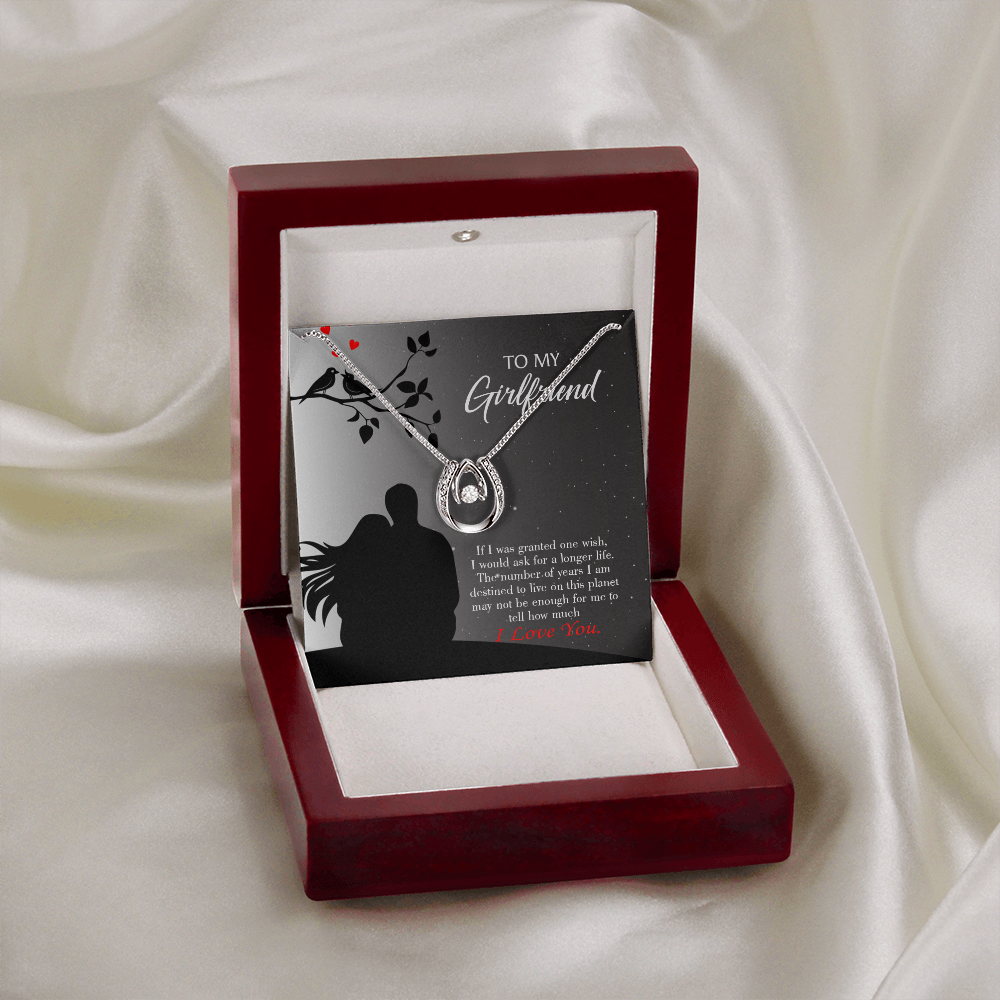 To My Girlfriend Longer Life Lucky Horseshoe Necklace Message Card 14k w CZ Crystals-Express Your Love Gifts