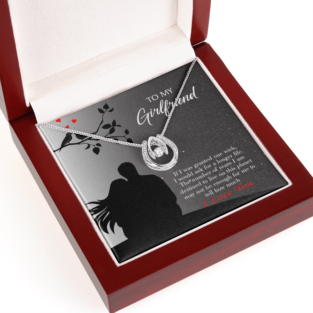 To My Girlfriend Longer Life Lucky Horseshoe Necklace Message Card 14k w CZ Crystals-Express Your Love Gifts