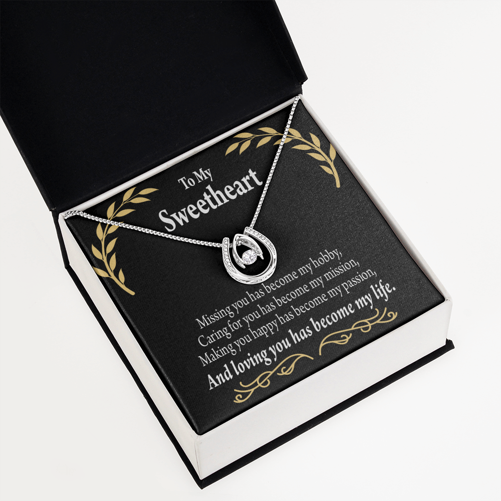 To My Girlfriend Loving You Lucky Horseshoe Necklace Message Card 14k w CZ Crystals-Express Your Love Gifts