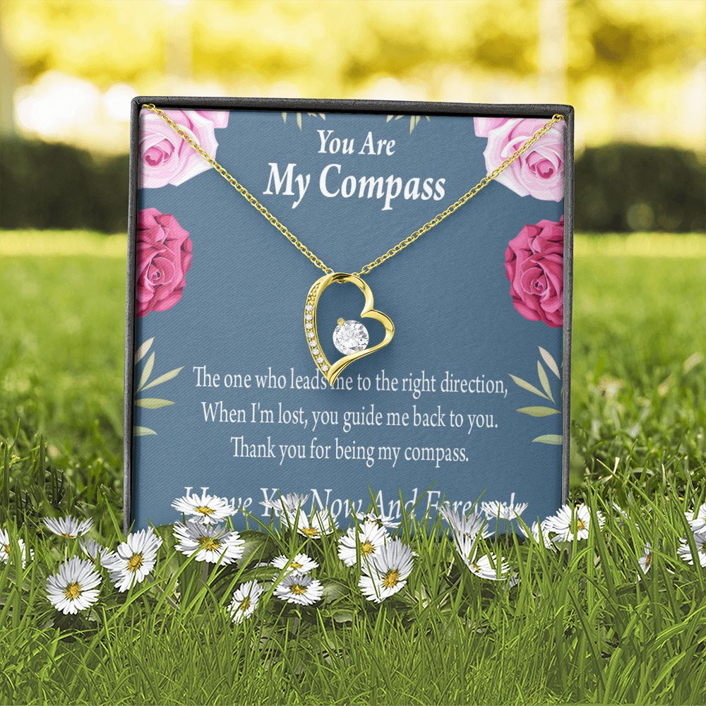 To My Girlfriend My Compass Forever Necklace w Message Card-Express Your Love Gifts