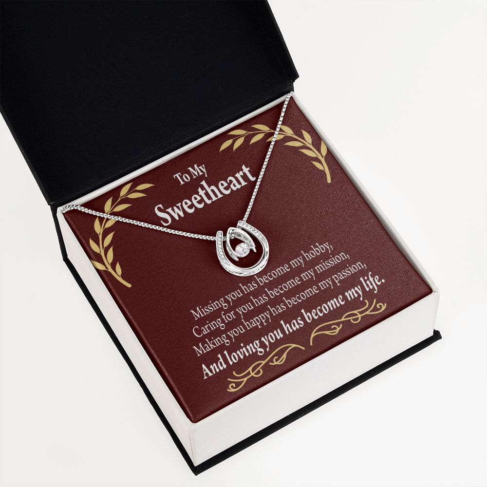To My Girlfriend My Passion Lucky Horseshoe Necklace Message Card 14k w CZ Crystals-Express Your Love Gifts