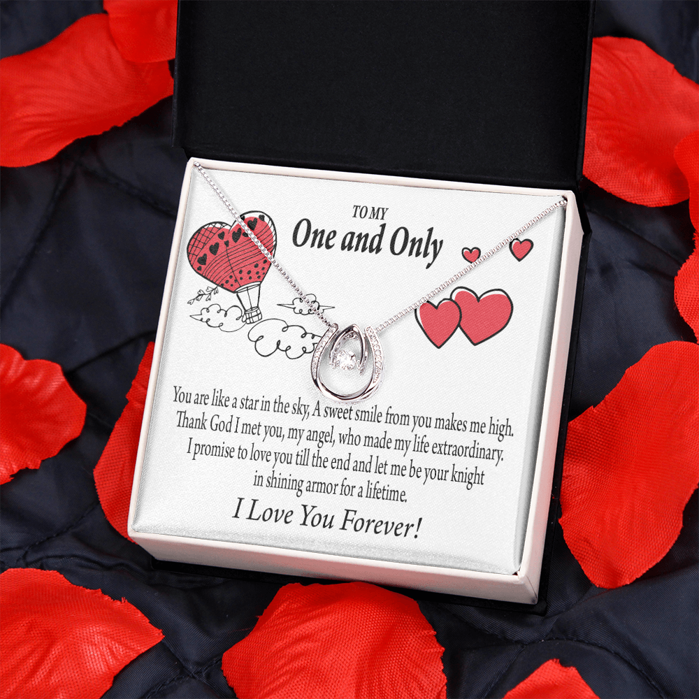 To My Girlfriend One & Only Lucky Horseshoe Necklace Message Card 14k w CZ Crystals-Express Your Love Gifts