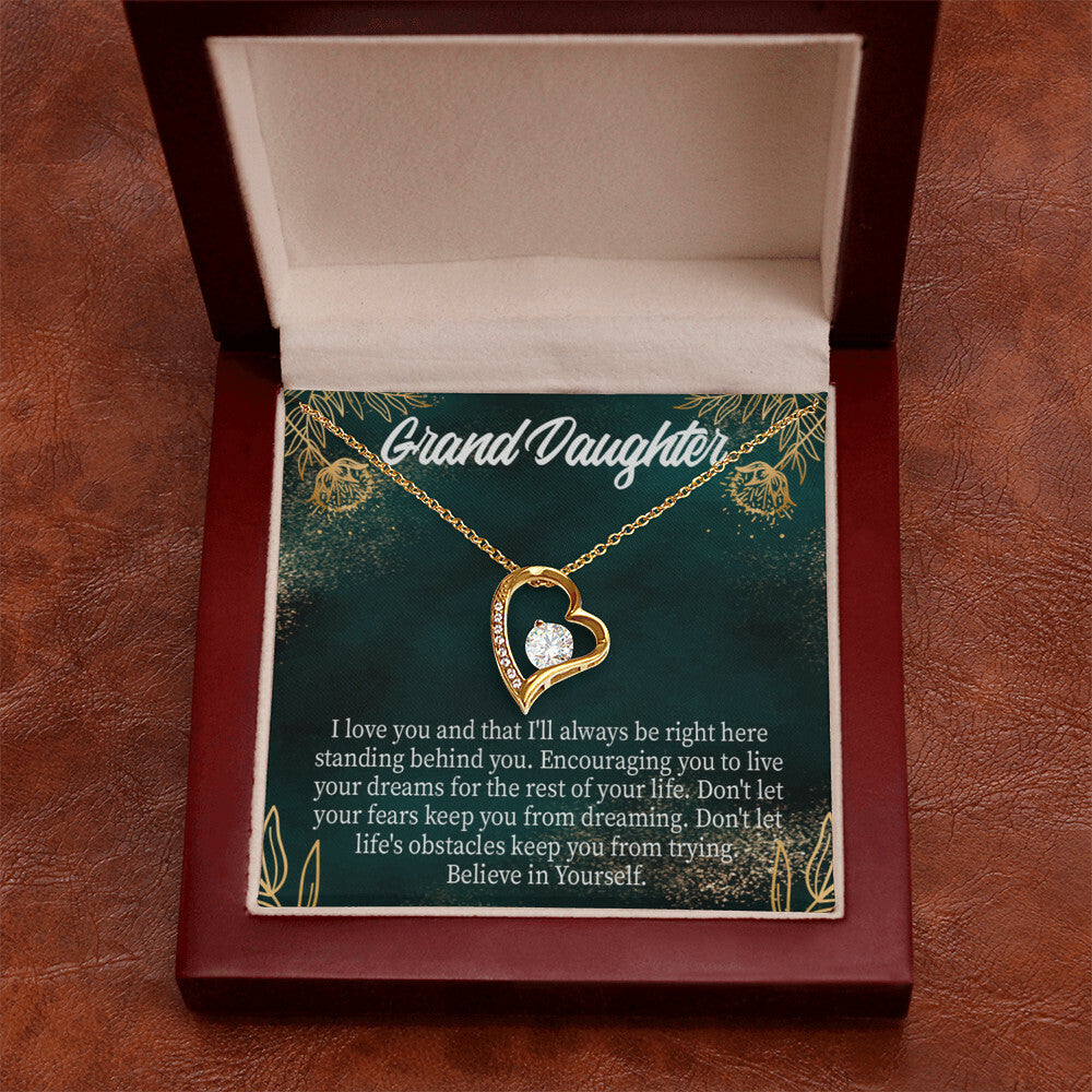 To My Granddaughter Believe in Yourself Forever Necklace w Message Card-Express Your Love Gifts