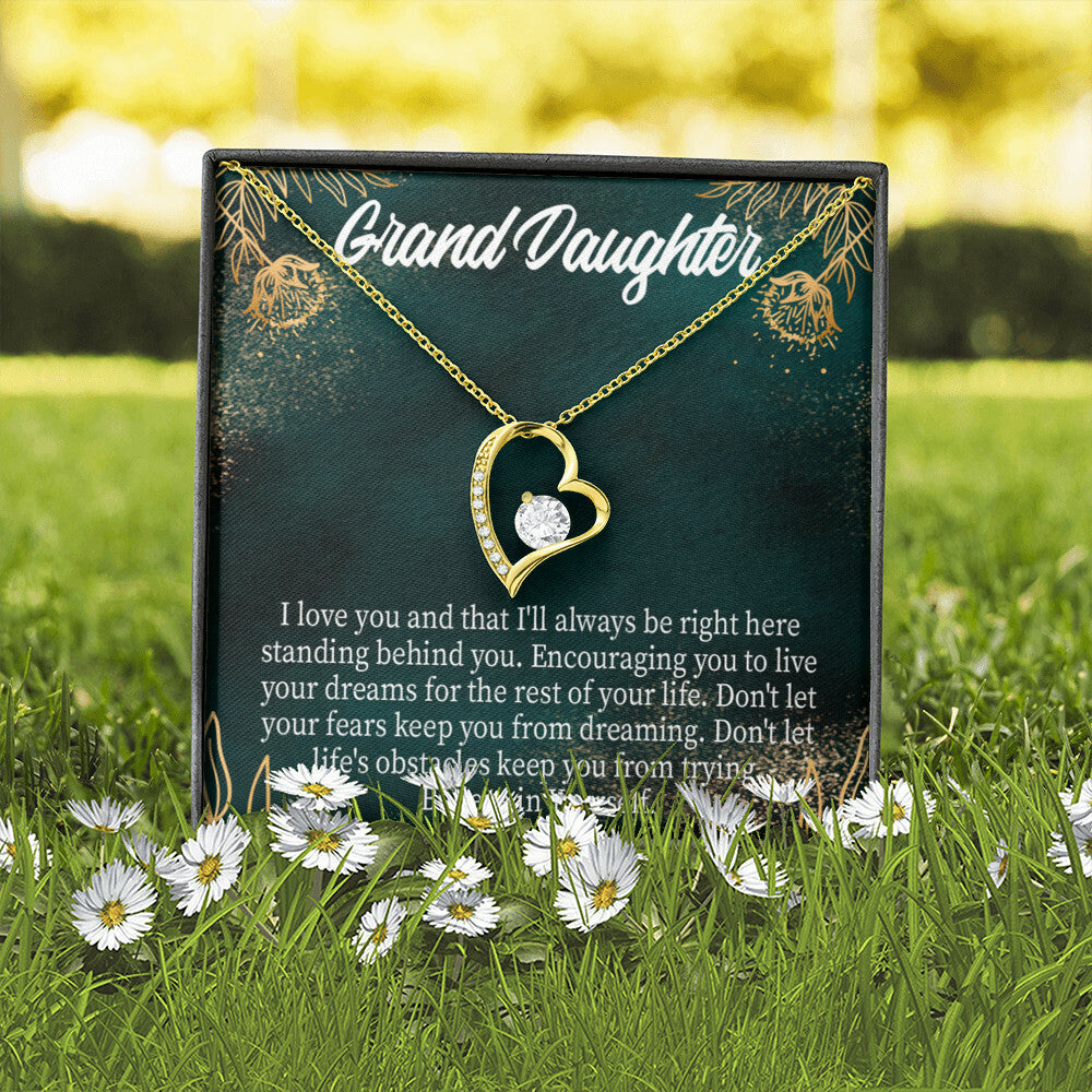 To My Granddaughter Believe in Yourself Forever Necklace w Message Card-Express Your Love Gifts