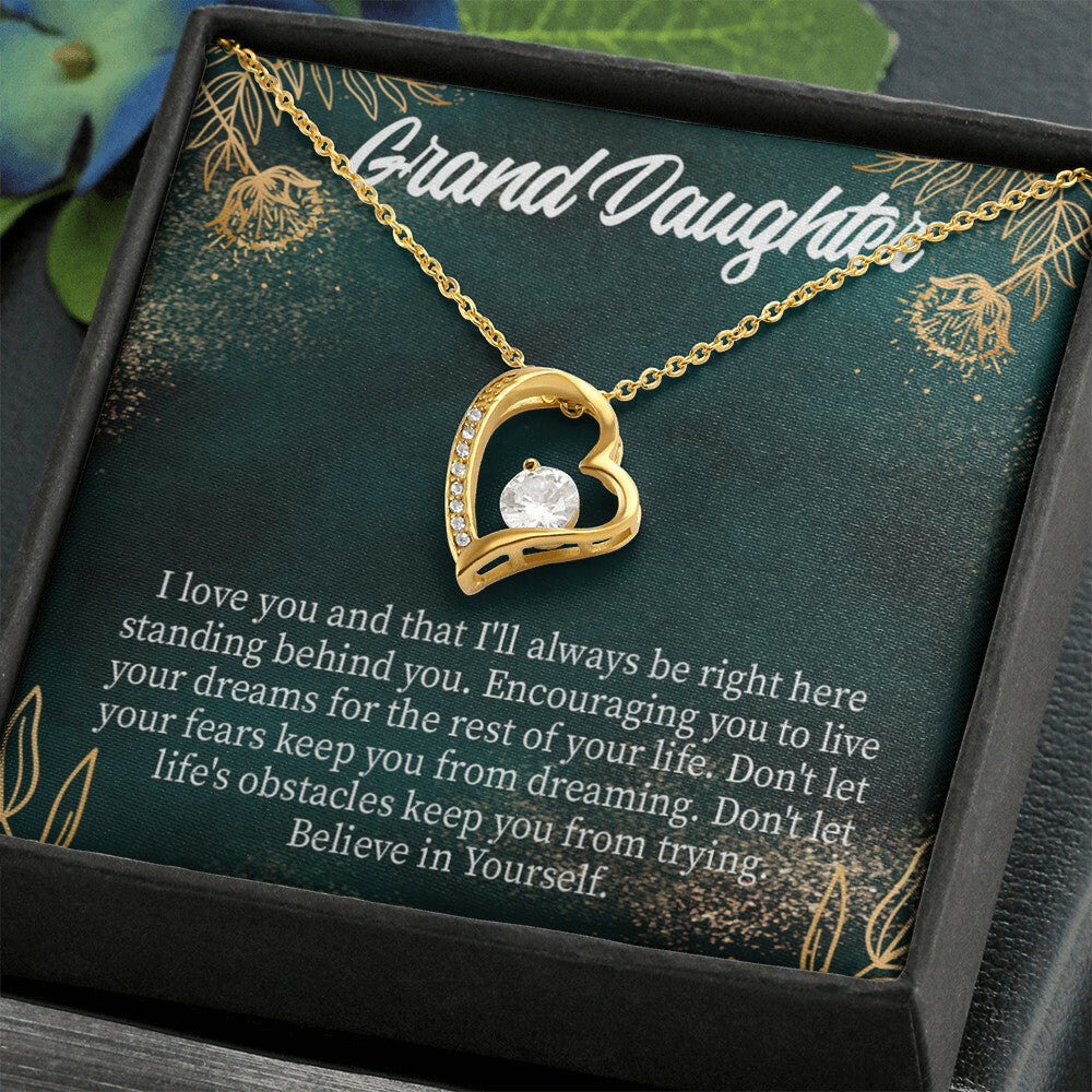 To My Granddaughter Believe in Yourself Forever Necklace w Message Card-Express Your Love Gifts