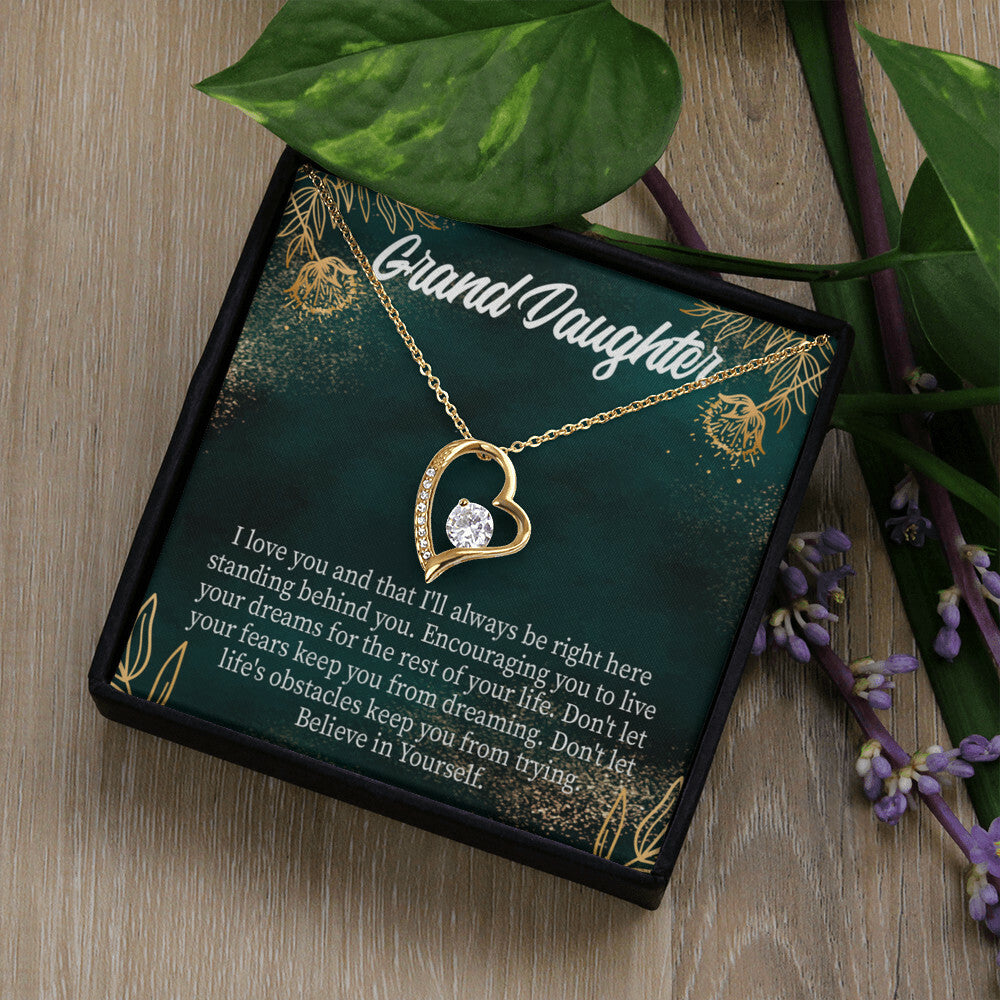 To My Granddaughter Believe in Yourself Forever Necklace w Message Card-Express Your Love Gifts