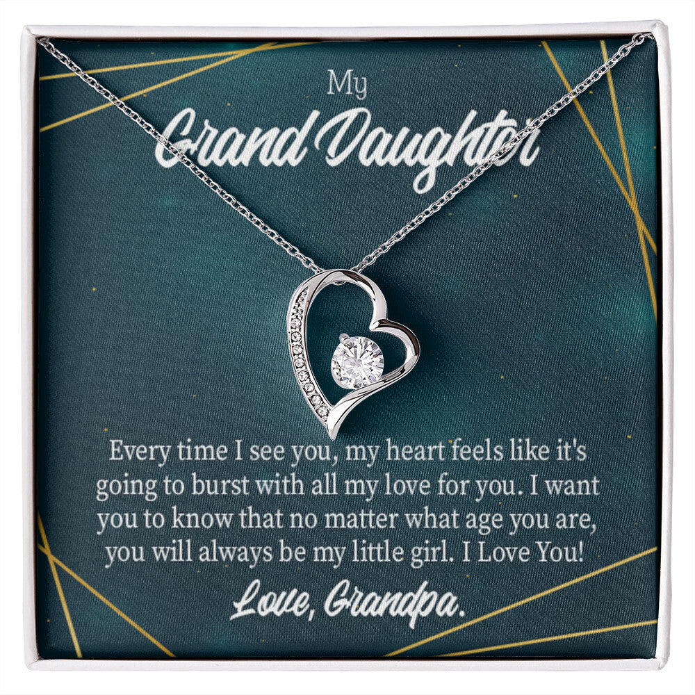 To My Granddaughter Every Time Grandpa Sees You Forever Necklace w Message Card-Express Your Love Gifts