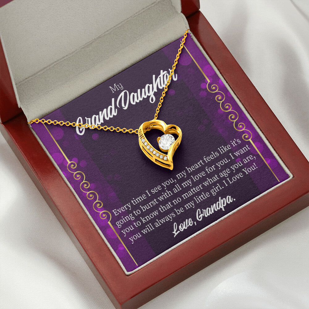 To My Granddaughter Every Time I See You Forever Necklace w Message Card-Express Your Love Gifts