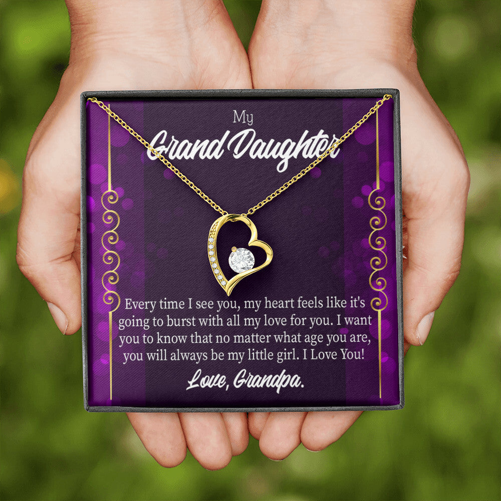 To My Granddaughter Every Time I See You Forever Necklace w Message Card-Express Your Love Gifts