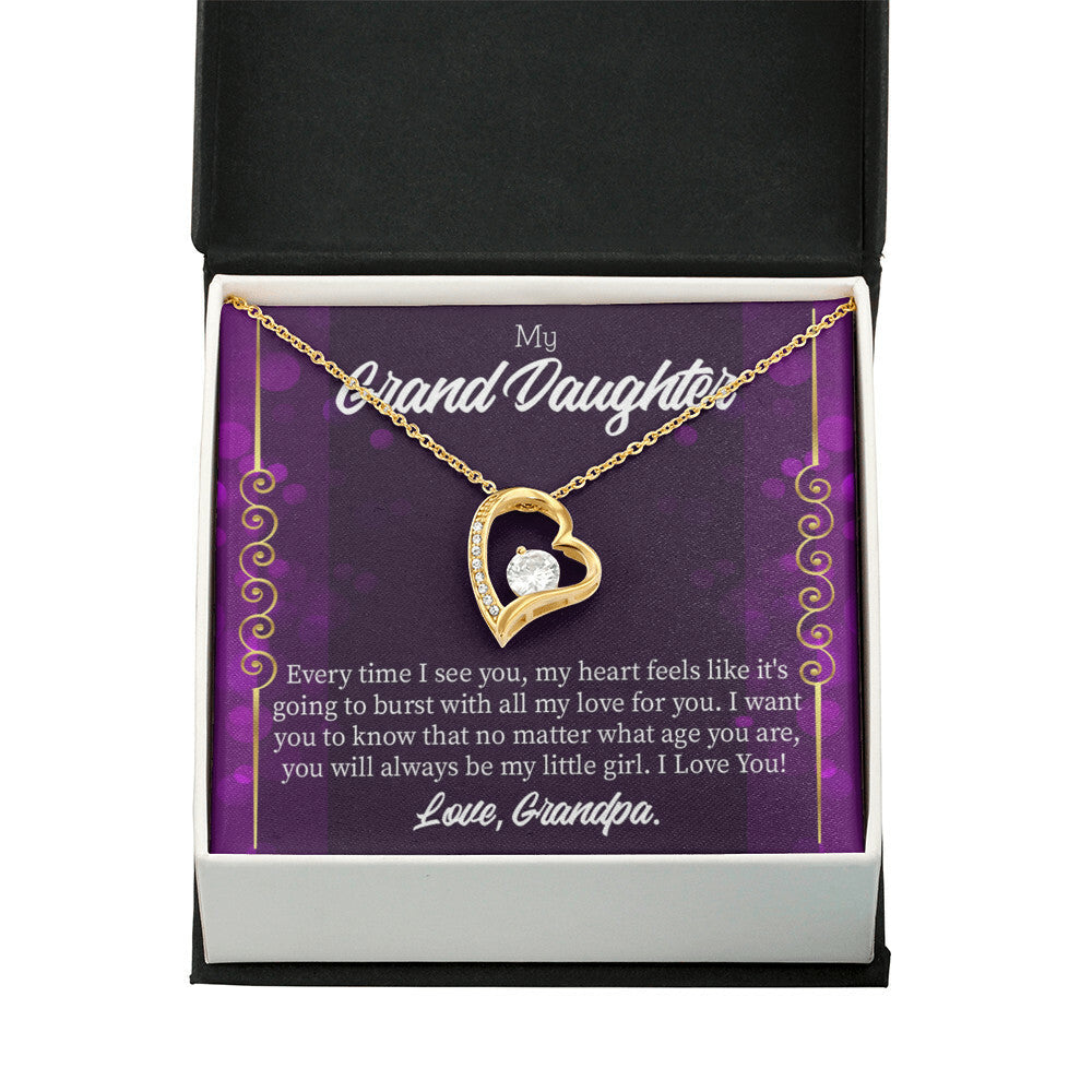To My Granddaughter Every Time I See You Forever Necklace w Message Card-Express Your Love Gifts