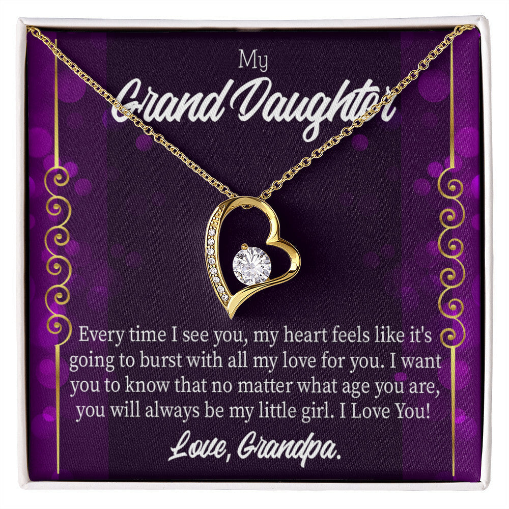 To My Granddaughter Every Time I See You Forever Necklace w Message Card-Express Your Love Gifts