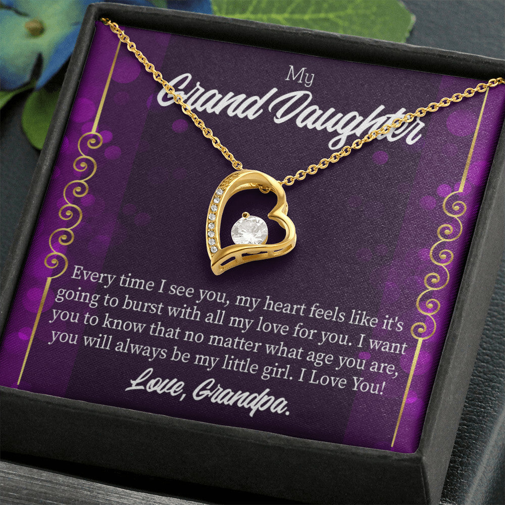 To My Granddaughter Every Time I See You Forever Necklace w Message Card-Express Your Love Gifts