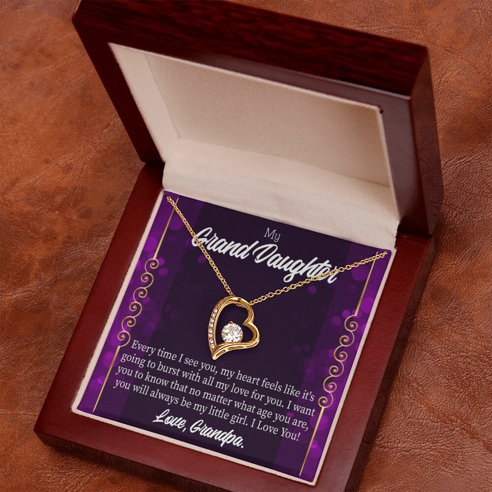 To My Granddaughter Every Time I See You Forever Necklace w Message Card-Express Your Love Gifts