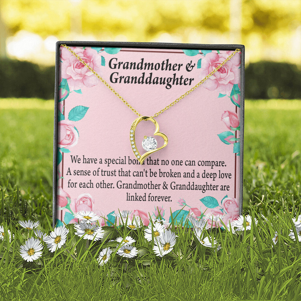 To My Granddaughter Granddaughter Special Bond Necklace Forever Necklace w Message Card-Express Your Love Gifts