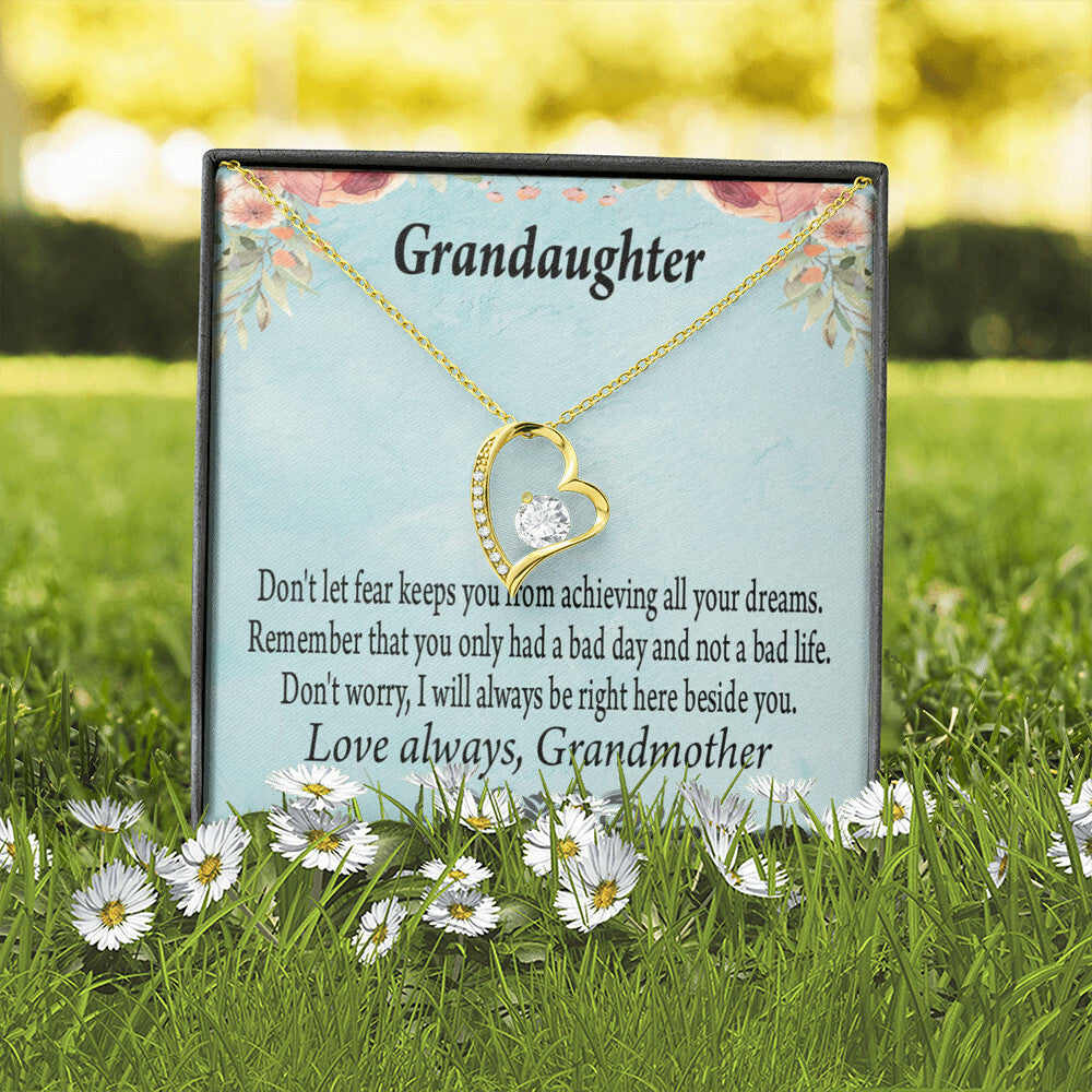 To My Granddaughter Grandma to Granddaughter Message Reach For Your Dreams Forever Necklace w Message Card-Express Your Love Gifts