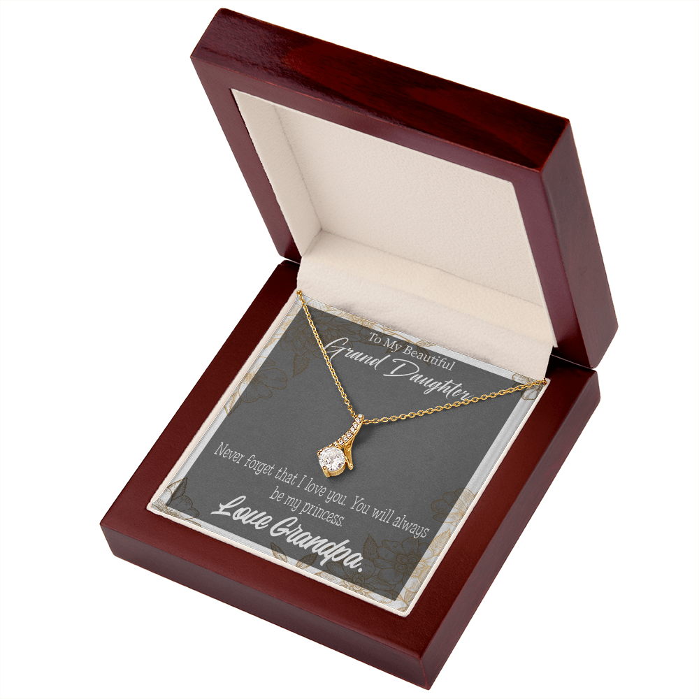 To My Granddaughter Grandpa's Princess Alluring Ribbon Necklace Message Card-Express Your Love Gifts