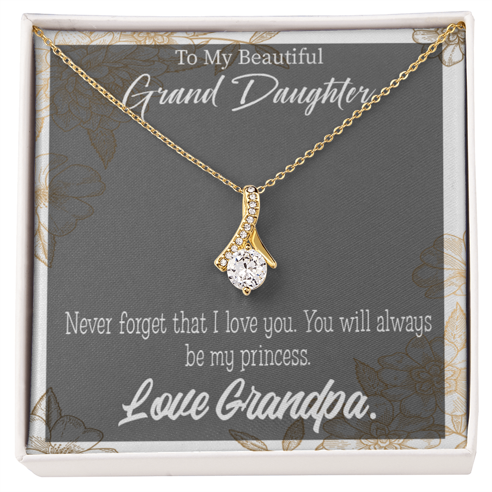To My Granddaughter Grandpa's Princess Alluring Ribbon Necklace Message Card-Express Your Love Gifts