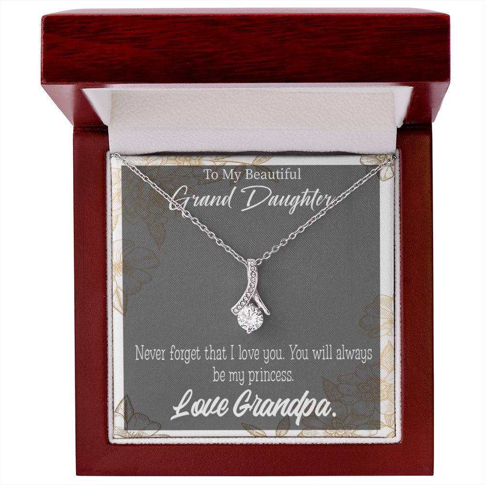 To My Granddaughter Grandpa's Princess Alluring Ribbon Necklace Message Card-Express Your Love Gifts