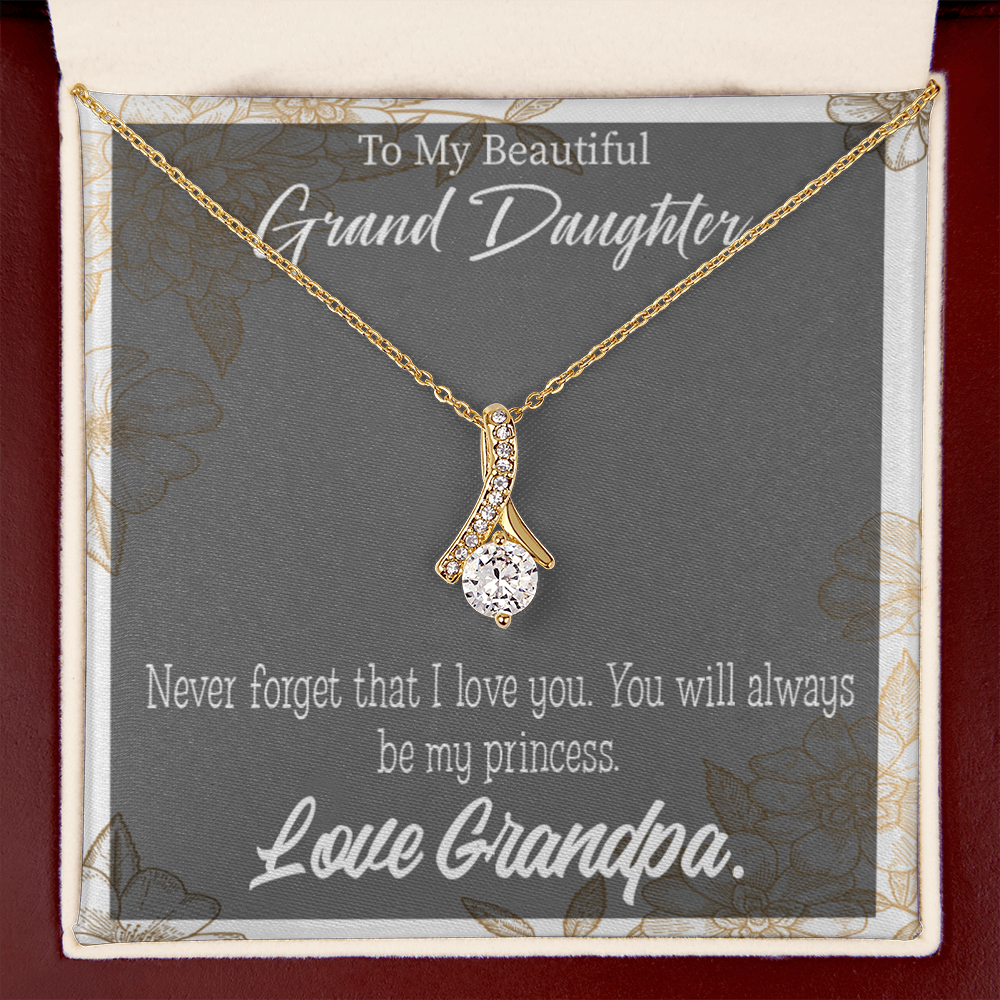 To My Granddaughter Grandpa's Princess Alluring Ribbon Necklace Message Card-Express Your Love Gifts