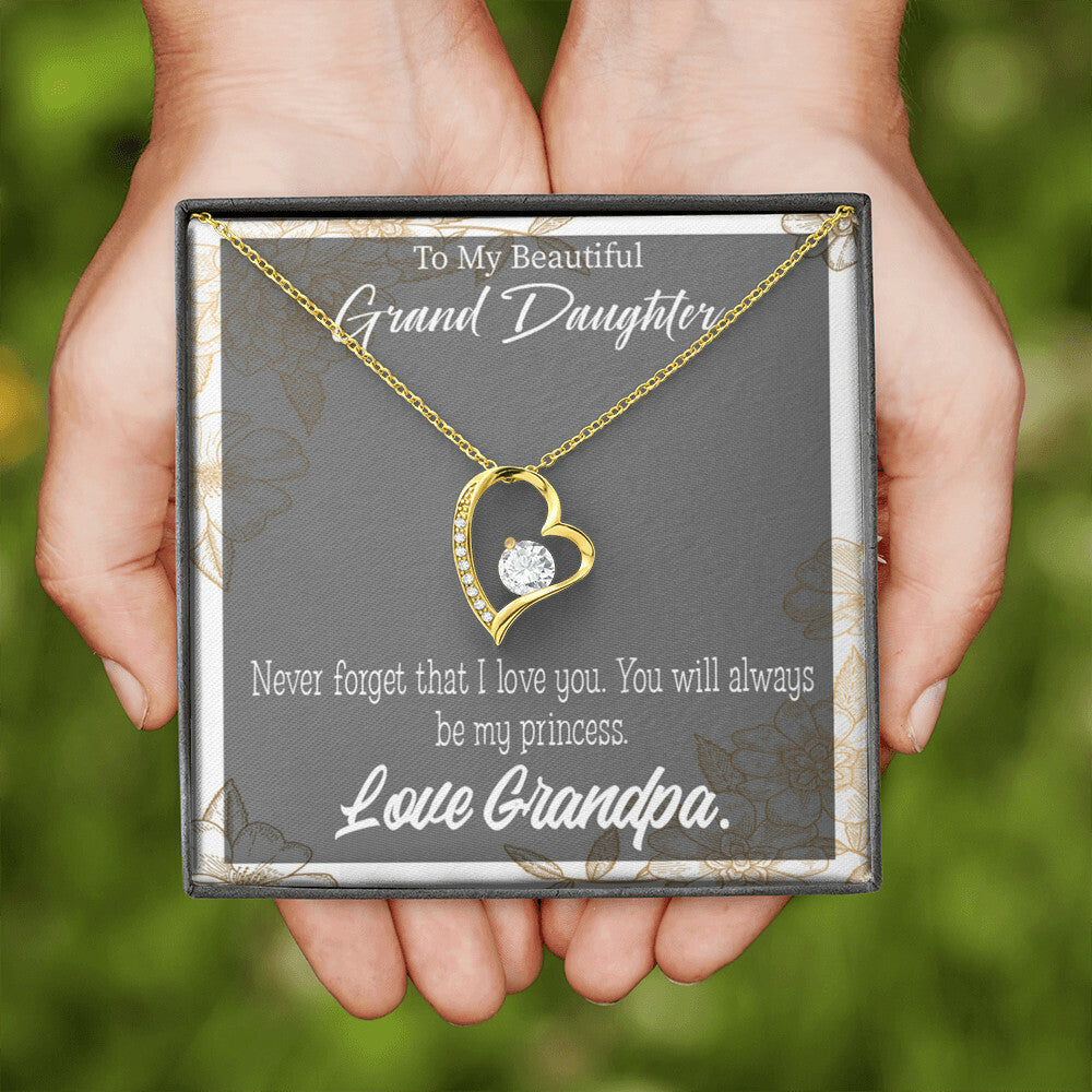 To My Granddaughter Grandpa's Princess Forever Necklace w Message Card-Express Your Love Gifts