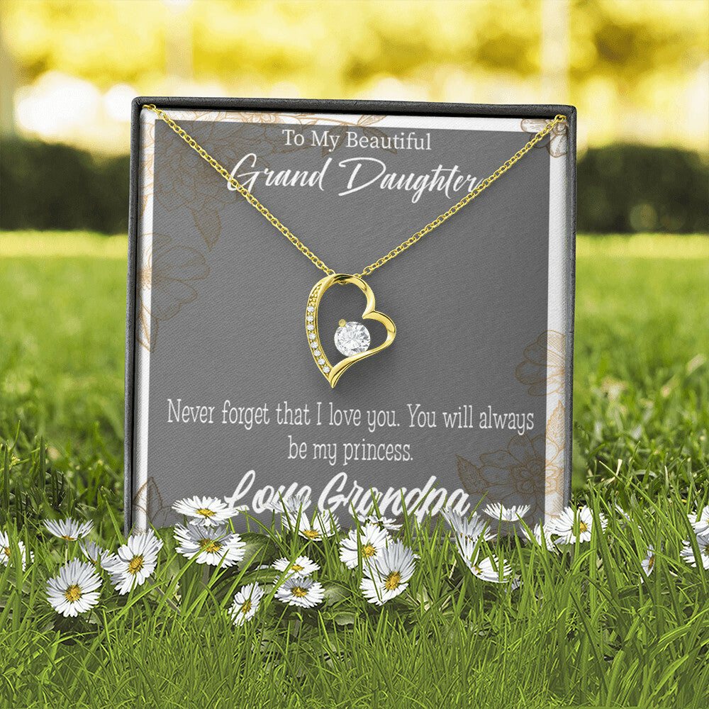 To My Granddaughter Grandpa's Princess Forever Necklace w Message Card-Express Your Love Gifts