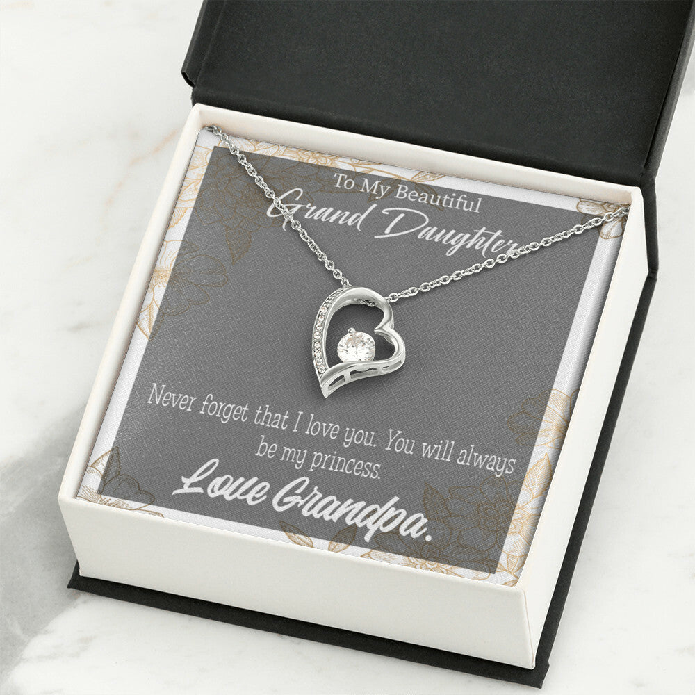 To My Granddaughter Grandpa's Princess Forever Necklace w Message