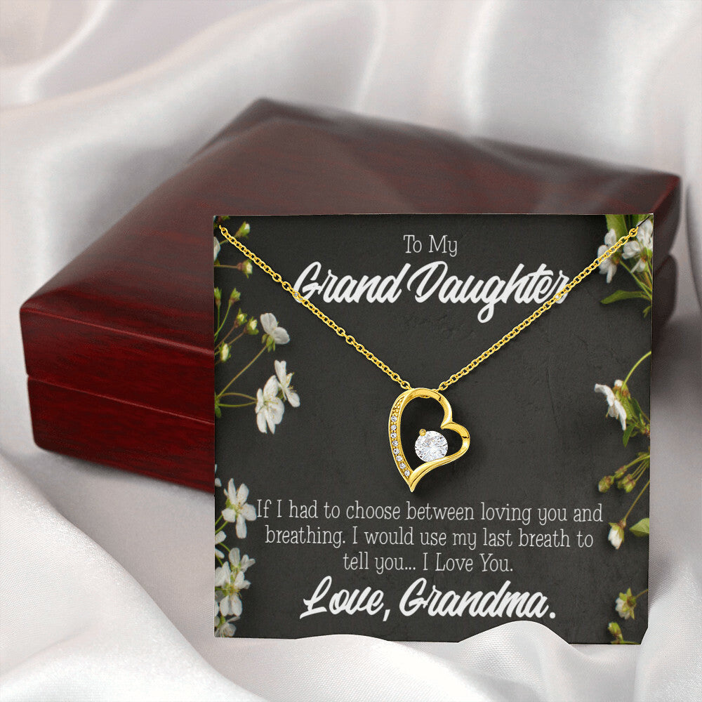 To My Granddaughter Last Breath Grandma Forever Necklace w Message Card-Express Your Love Gifts