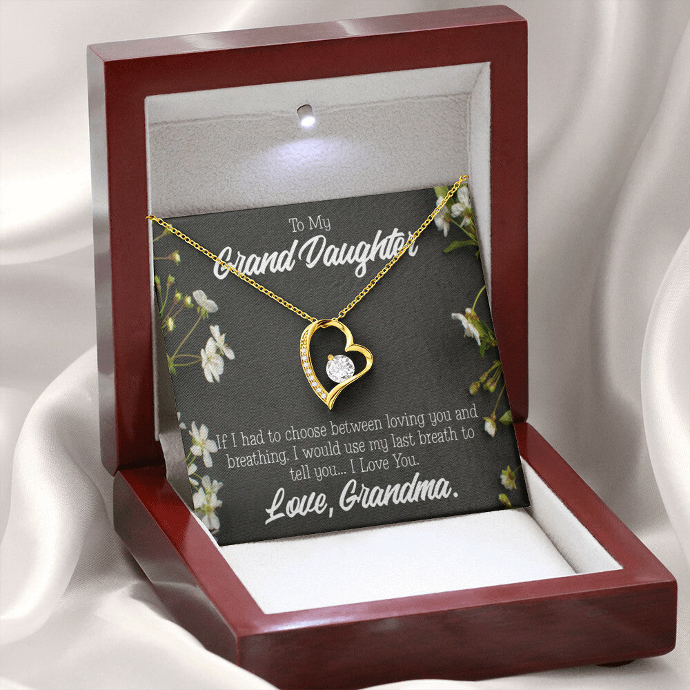 To My Granddaughter Last Breath Grandma Forever Necklace w Message Card-Express Your Love Gifts