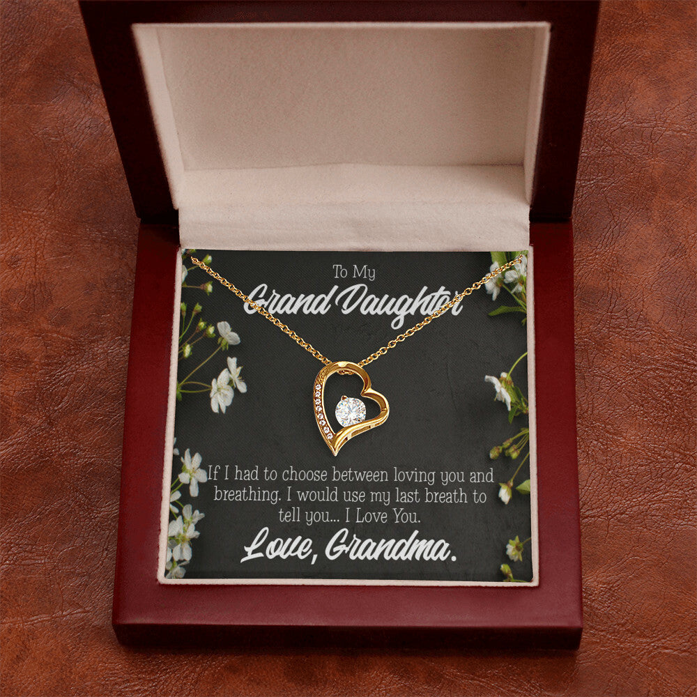 To My Granddaughter Last Breath Grandma Forever Necklace w Message Card-Express Your Love Gifts