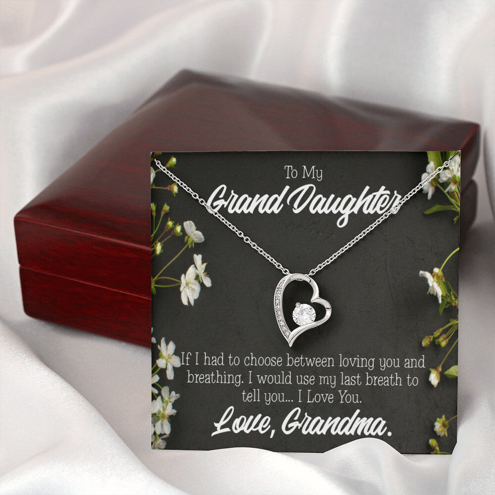 To My Granddaughter Last Breath Grandma Forever Necklace w Message Card-Express Your Love Gifts