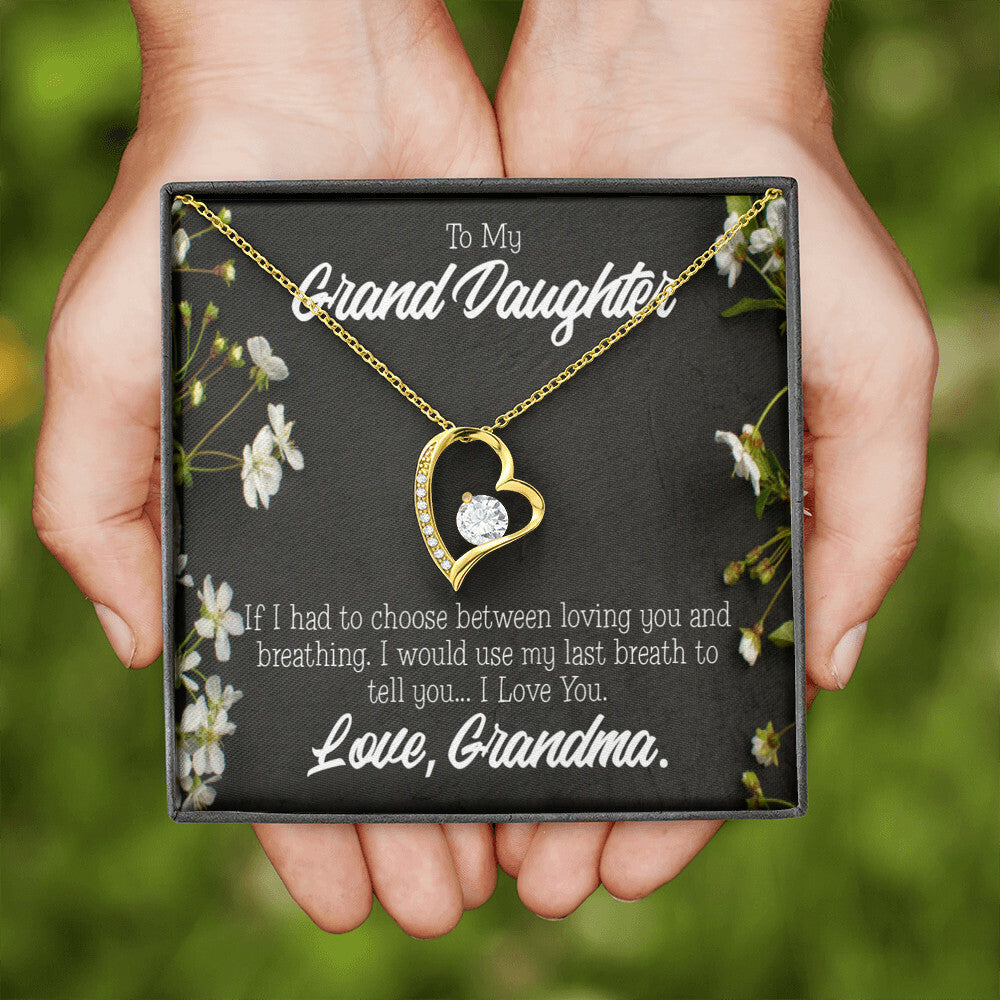 To My Granddaughter Last Breath Grandma Forever Necklace w Message Card-Express Your Love Gifts