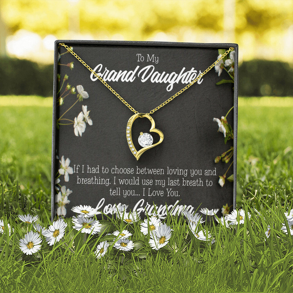To My Granddaughter Last Breath Grandma Forever Necklace w Message Card-Express Your Love Gifts