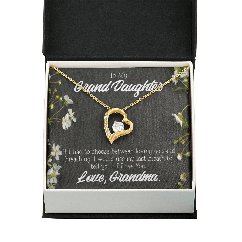 To My Granddaughter Last Breath Grandma Forever Necklace w Message Card-Express Your Love Gifts