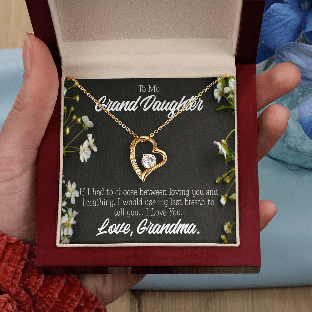 To My Granddaughter Last Breath Grandma Forever Necklace w Message Card-Express Your Love Gifts