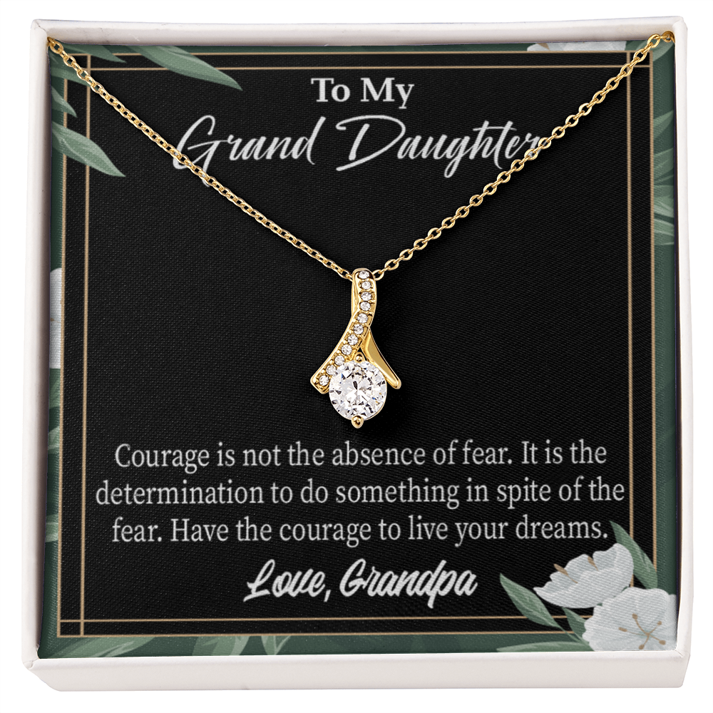 To My Granddaughter Live Your Dreams Alluring Ribbon Necklace Message Card-Express Your Love Gifts
