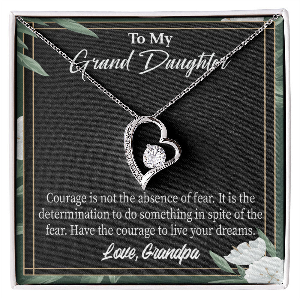 To My Granddaughter Live Your Dreams Forever Necklace w Message Card-Express Your Love Gifts