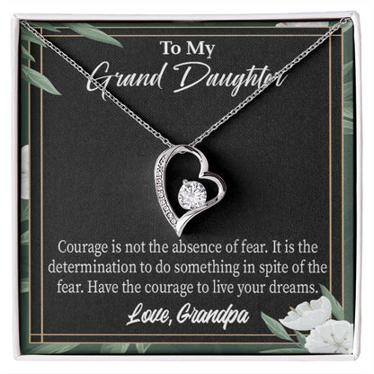 To My Granddaughter Live Your Dreams Forever Necklace w Message Card-Express Your Love Gifts