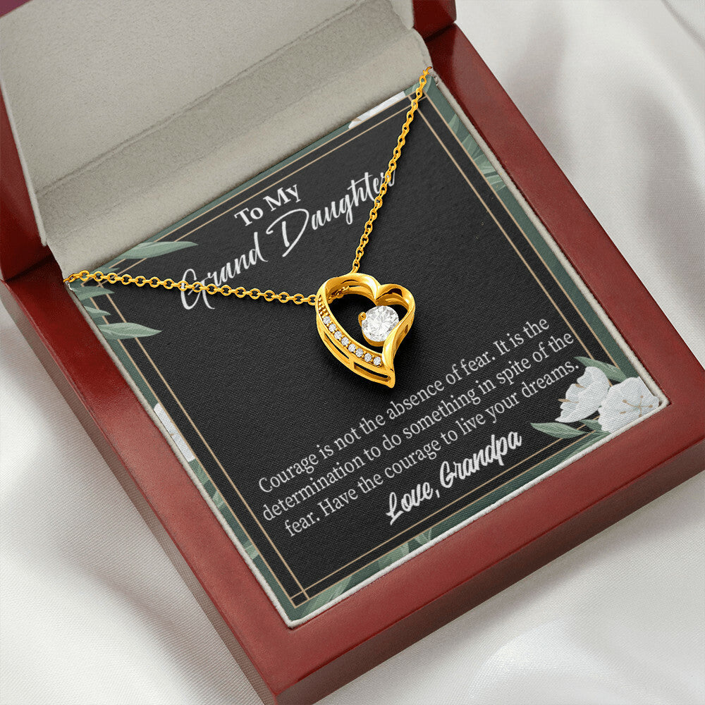 To My Granddaughter Live Your Dreams Forever Necklace w Message Card-Express Your Love Gifts